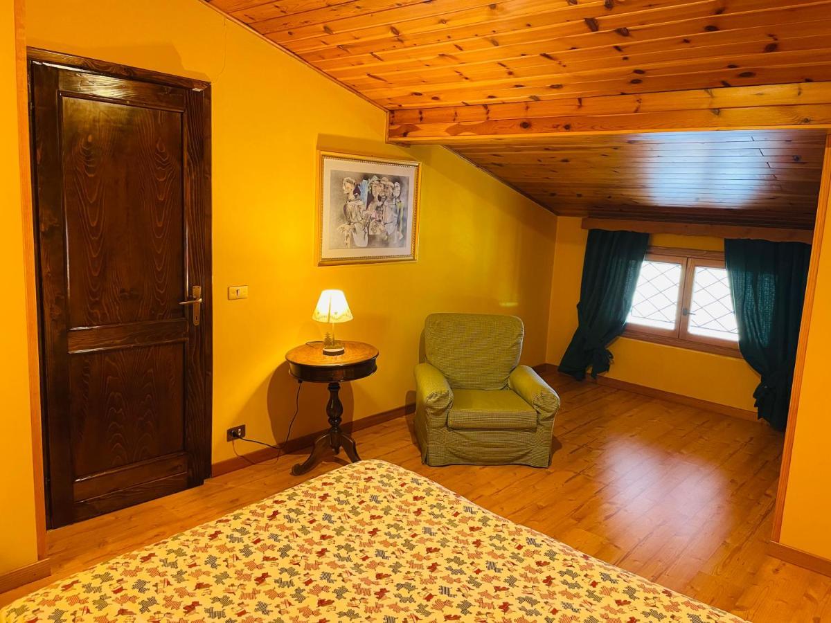 Accogliente Attico Vista Dolomiti Apartment Vodo Cadore Екстериор снимка